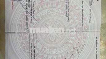 Bán đất Phú An Bến Cát gần cầu ông Cộ, 20x123m 300m2 thổ cư giá 5ty100