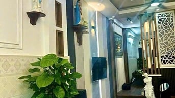 NHÀ ĐẸP ỐP GỖ Ở ĐƯỜNG SỐ 54 Q6, VIEW CÔNG VIÊN (4X17) CHỈ 12,5 TỶ