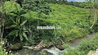 🌿 CƠ HỘI SỞ HỮU ĐẤT FARM NGHỈ DƯỠNG