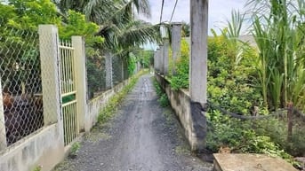SOT·Hơn 110 m2 ONT SHR Cần Đước giá tốt cho anh chị