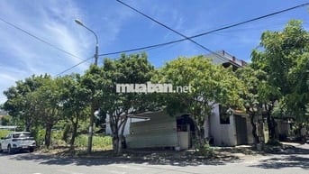 🧧 2 MẶT TIỀN : LÊ QUANG ĐỊNH - ĐÔ ĐỐC TUYẾT