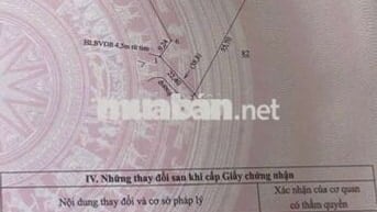 Anh tai cần bán gấp vườn điều giá 290tr