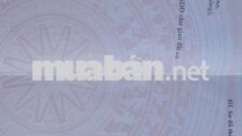 Bán gấp nhà thị trấn Cần Giuộc 845tr