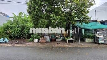Bán đất gần đường Phạm Văn Diêu 300m, p.Tân Hạnh, Tp.Biên Hòa