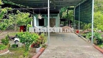 Đất thành phố 290tr bao sổ (541m2) có sẵn 100m2 thổ cư