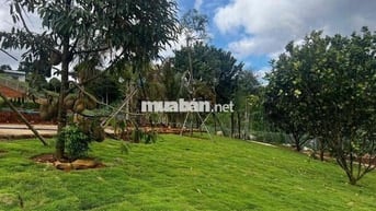 🏡 SỞ HỮU NGAY LÔ ĐẤT NGHỈ DƯỠNG – PHÁP LÝ RÕ RÀNG🤩