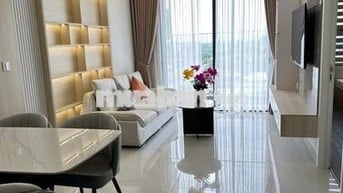 Căn hộ 2 phòng ngủ full nội thất đẹp cần cho thuê , gần AEON, VSIP1
