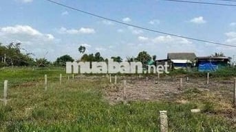 395tr sổ hồng riêng , xã đức tân - tân trụ - long an , dt :145mv thổ