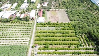 5X70 60TC NHỰA THÔNG KCN 999 TRIỆU