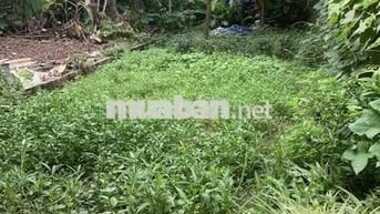 cần bán đất tại Quang trung, yên nghĩa, Hà Đông