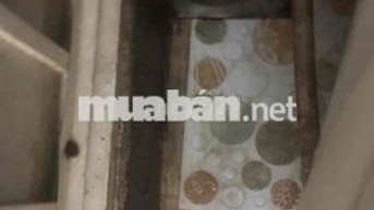 cho thuê trọ, có thể tổ chức kinh doanh