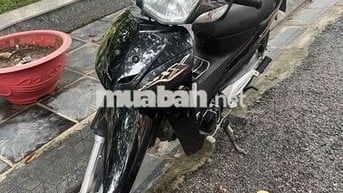 bán xe zin cho học sinh