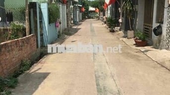 Đất biên nhận đo bao năm 2007 ra sổ được
