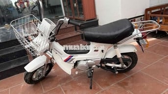 Thanh lý  chaly 50cc học sinh không cần bằng lái