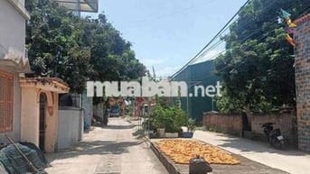 Chính chủ bán đất trung tâm Phụng Châu – ô tô tránh nhau – gần UB, trạ