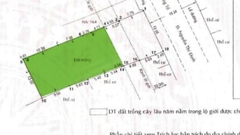 Bán đất mặt đường Nguyễn Thị Định , p Bình Trưng Tây – Quận 2 