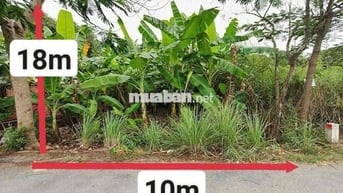 Cần Bán Gấp Lô Đất 10x18m, Ngay Giáp Ranh Long An – Giá Tốt