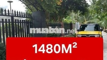 ĐẤT SIÊU ĐẸP - KẾ KHU DU LỊCH ÔNG ĐỀ