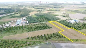 3600m2 đường nhựa. Ngay khu đô thị KCN Phước Đông. 2,6 tỷ 