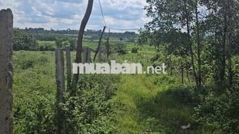 Bán đất vườn ở Làng Tào Roòng, xã Ia Pal, Chư Sê, Gia Lai