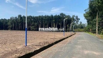 250m2 mặt tiền đường nhựa TDC Nha Bích sổ sẵn, công chứng ngay