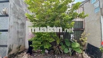 bán thửa đất đường số 5 bình hưng hoà bình tân