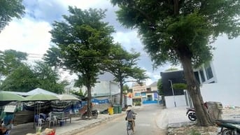 chuyên bán đất khu vực phố tây thảo điền quận 2 , xây dựng 5 tầng