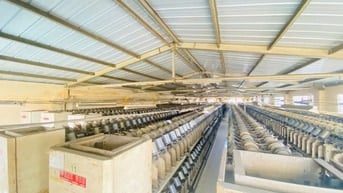 Cho thuê kho xưởng 2.400m² , Quận 12 – Đường container, PCCC đạt chuẩn