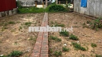 Cần Bán 58m thôn Ấp Tre, Tổ 10 Quang Minh, Mê Linh, HN. Đường thông,