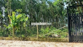 ĐỊNH CƯ NC NGOÀI, chủ gửi lô đất 790m2 Phước Thạnh, Củ Chi. 750 TRIỆU