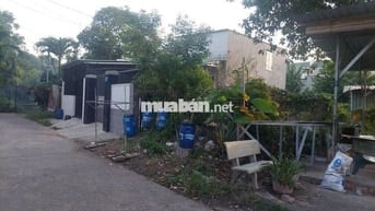 BÁN ĐẤT DĨ AN BÌNH DƯƠNG GIÁ MỀM