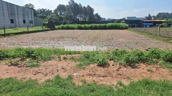 (33)🔥 BÁN GẤP LÔ ĐẤT ĐẸP – TÂN THÔNG HỘI, CỦ CHI – 6x26,05M FULL THỔ –