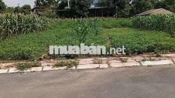 Bán Đất - Thái Lai(Minh Trí - Sóc Sơn) - 110M2 Full Thổ Cư - 2,7 Tỷ