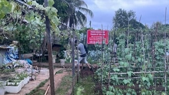 CÔNG TY ĐẤU GIÁ HỢP DANH MINH PHÁP THÔNG BÁO ĐẤU GIÁ TÀI SẢN