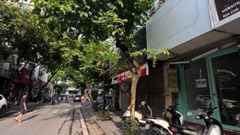 Cho thuê mặt bằng kinh doanh phố Sơn Tây quận Ba Đình