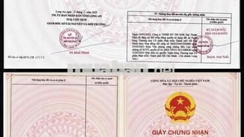 📍 Vị trí cực đẹp: gần Quận 5, Quận 6, Quận 8, Quận Bình Tân – di chuyể