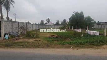 🔥 BÁN ĐẤT MẶT TIỀN ĐƯỜNG HUYỆN LỘ 15, GÒ CÔNG TÂY, TIỀN GIANG 🔥