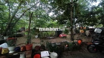 FULL THỔ CƯ, BỀ NGANG KHỦNG, CÓ THỂ TÁCH PHÂN LÔ, TÂN HIỆP, HÓC MÔN