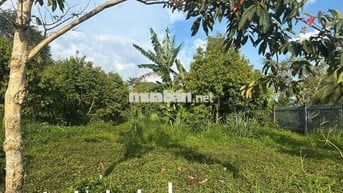 Kẹt tiền trả lãi chủ bán lô đất 2500m2 giá chỉ 550 triệu tại Tân Lạc