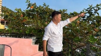 em công việc gấp có thể đi làm được tất cả mọi công việc cực nhọc
