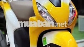 Honda Vision 2025 Màu Loang - Hỗ Trợ Góp 0đ