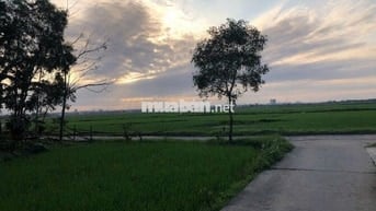 CHÍNH CHỦ CẦN BÁN ĐẤT Ở ĐÔ THỊ