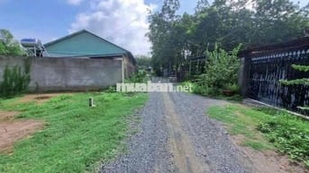 Hàng ngộp 11m x 48m thổ 196m2 đường thông 6m SHR 890tr nhà dân đông đú