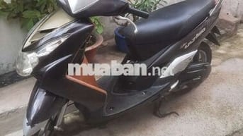 Xe mio utimo giấy tờ hợp lệ