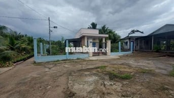500m2 đất cách kcn Giao Long 2km, sẵn nhà, đường xe hơi