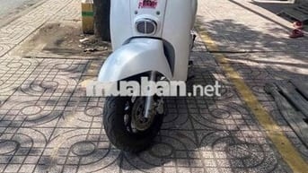 xe 50 Cho các bé học sinh người lớn tuổi