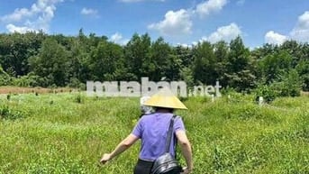 1230m2 đất view suối ngay tuyến đường tạo lực 65m, giá ngộp 390tr