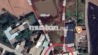 Bán 3100m2 đất Hưng Long - Bình Chánh - 5,3 Tye