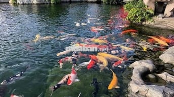 Chỉ 1tỷ3 đã sở hữu 1 lô đất nền KĐT mới tại TP.HCM