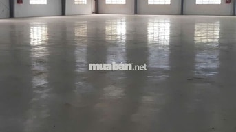 Cho thuê kho xưởng , DT: 1.680m² , Phước Lý, Cần Giuộc giáp Bình Chánh